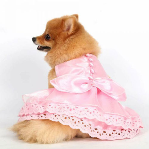 Vestidos de novia para perros