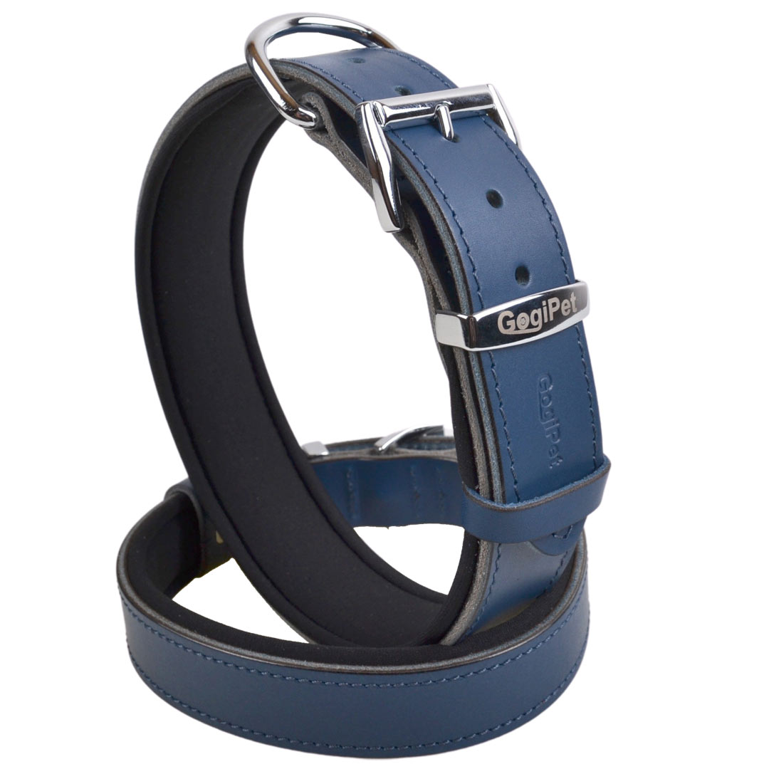 Collar para perros de cuero mod. Confort de GogiPet®, azul con acolchado suave