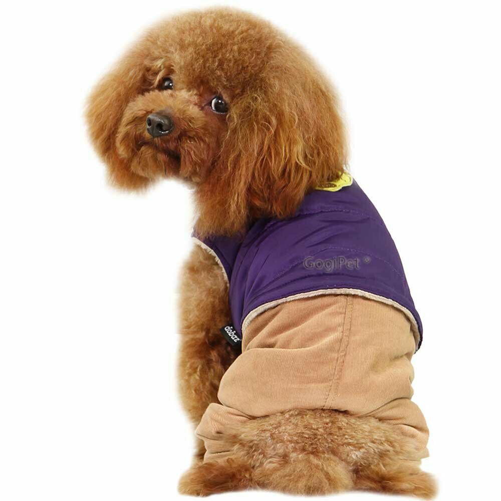 Conjunto cálido para perros de chaleco lila, pantalón marrón de GogiPet