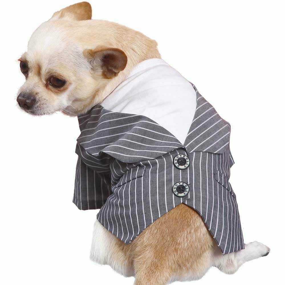 Chaqueta para perros gris con raya diplomática y camiseta blanca de DoggyDolly