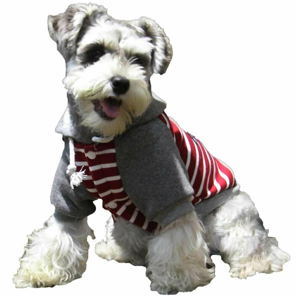 Sudadera cálida para perros "Damaris", a rayas rojas-blancas con capucha