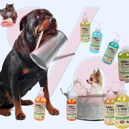 Promociones para el cuidado de los perros: productos para el cuidado cosmético y mecánico de las mascotas