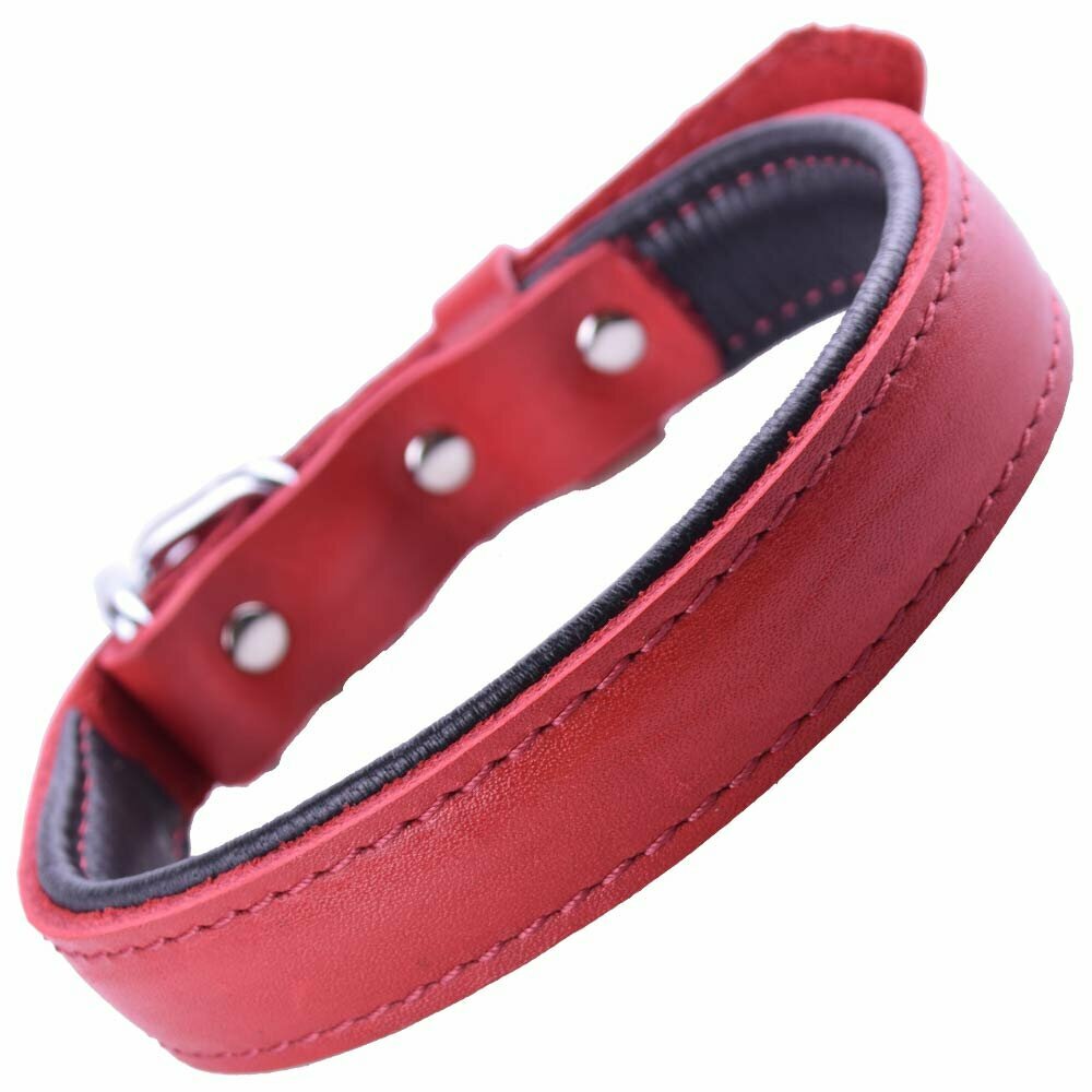 GogiPet ® collar de perro de cuero suave rojo con 40 cm