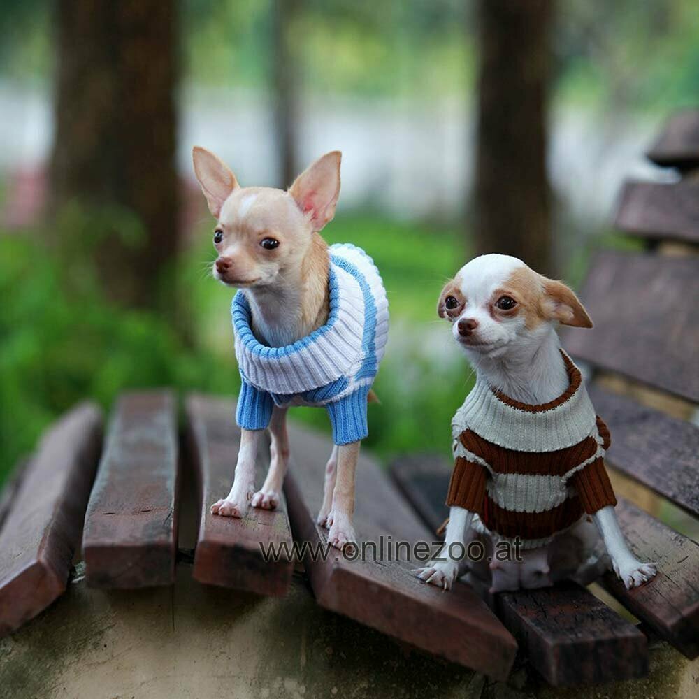 Suéter para perros con cuello alto de punto 