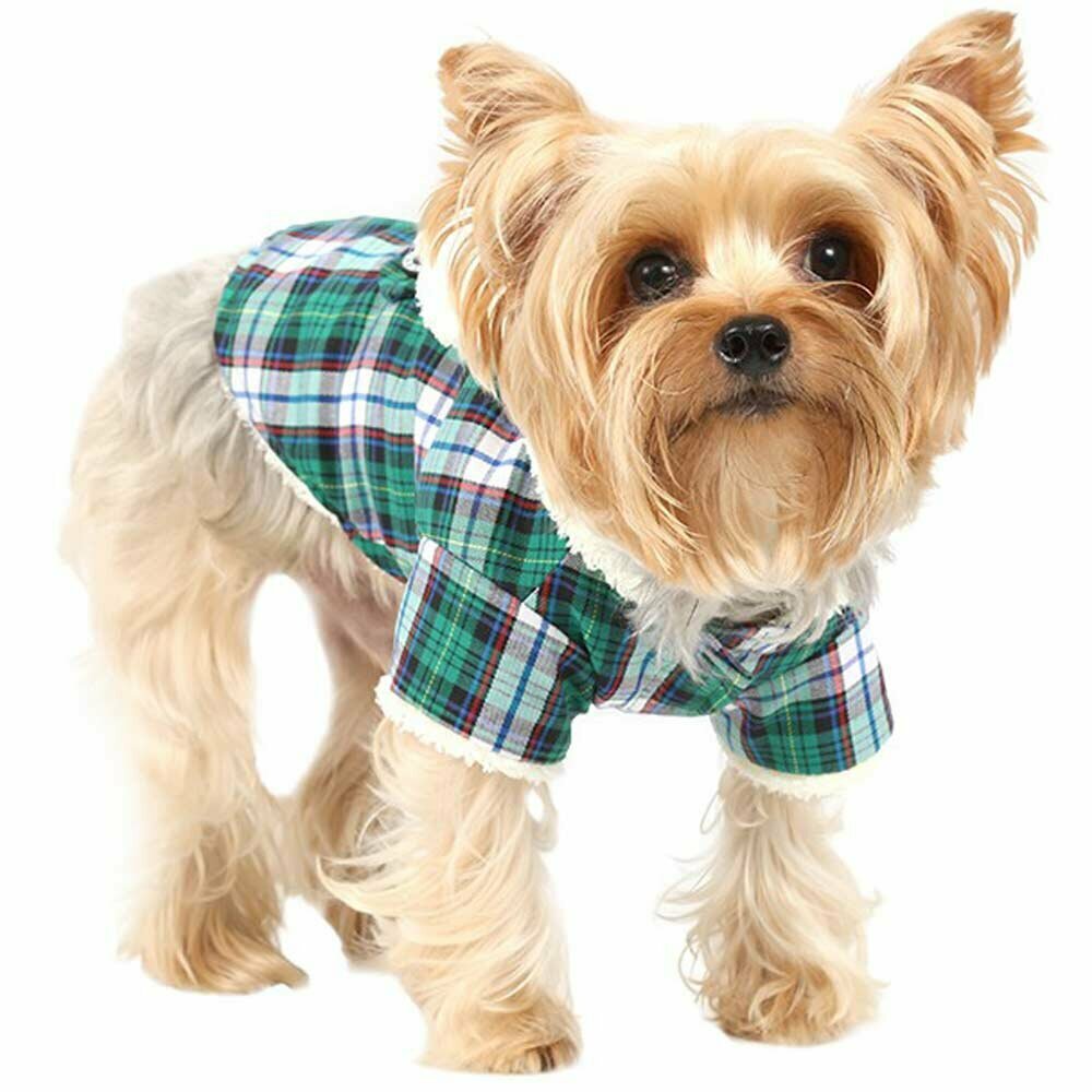 DoggyDolly moda para perros W153 - Abrigo para perros a cuadros verdes y blancos con capucha blanca con orejas