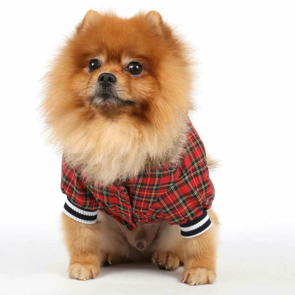Chaqueta para perros con cuadros rojos y capucha - DoggyDolly moda para perros W128