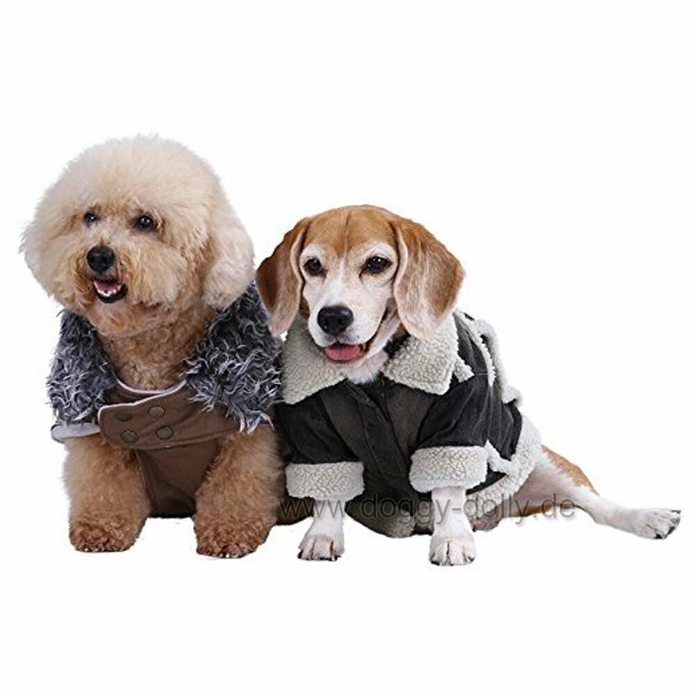 Cálidas chaquetas y abrigos para perros de DoggyDolly - Ropa de abrigo para perros