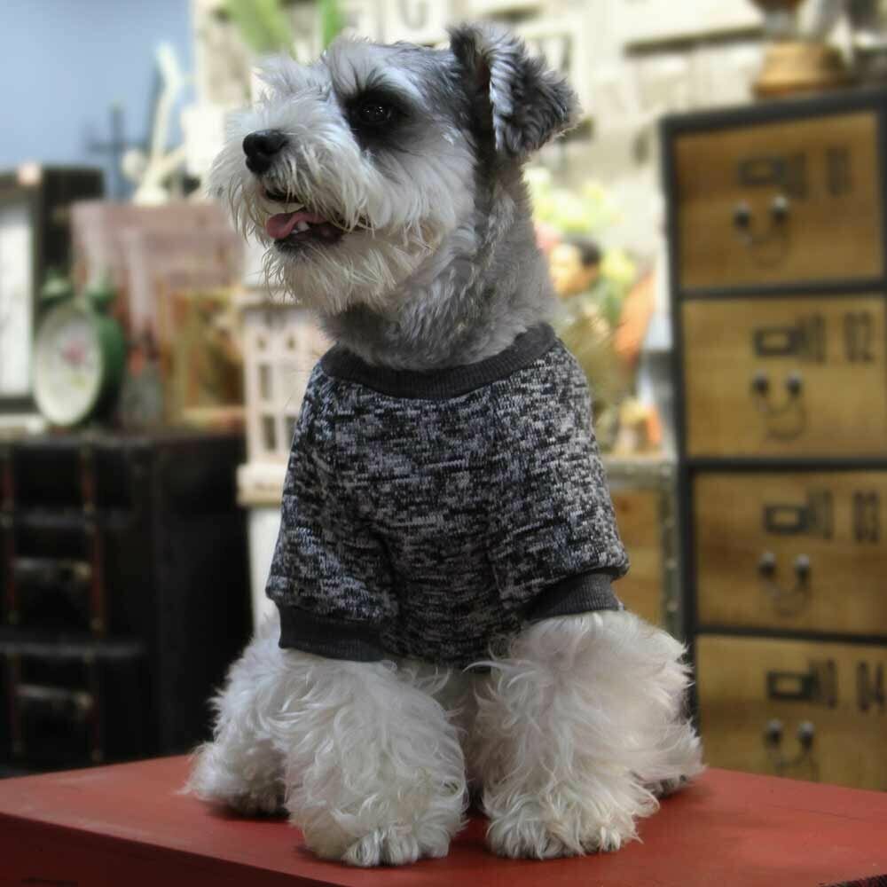 Suéter de punto para perros "Ojos bonitos" de GogiPet, gris, 100% algodón