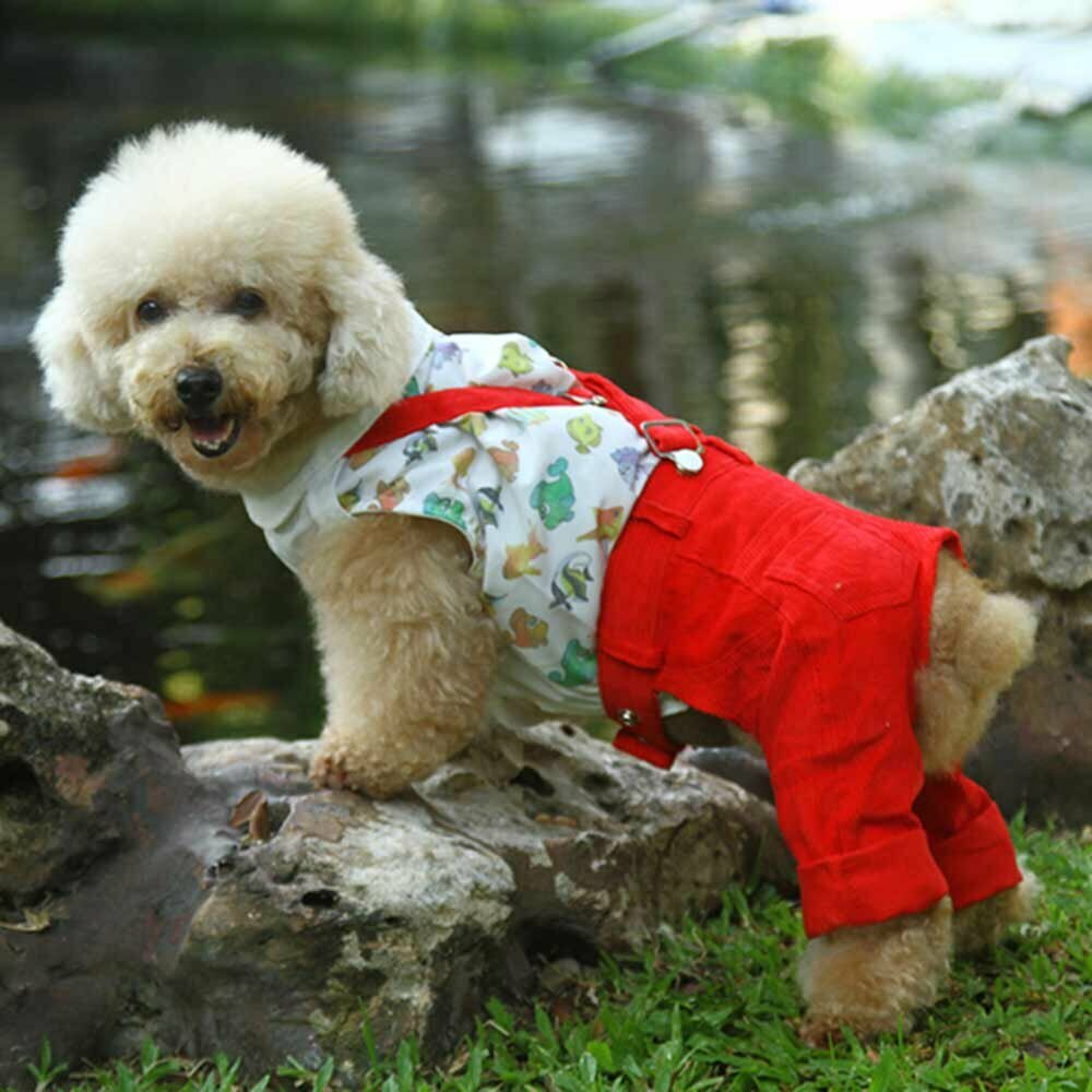 Pantalón para perros de pana roja con tirante decorativo de DoggyDolly
