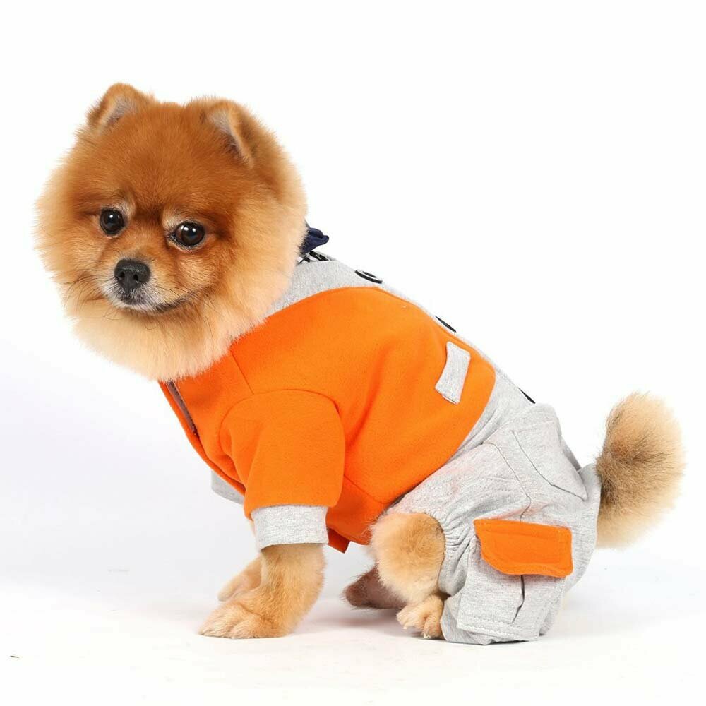 Cálida ropa para perros de punto en colores naranja y gris, con 4 mangas