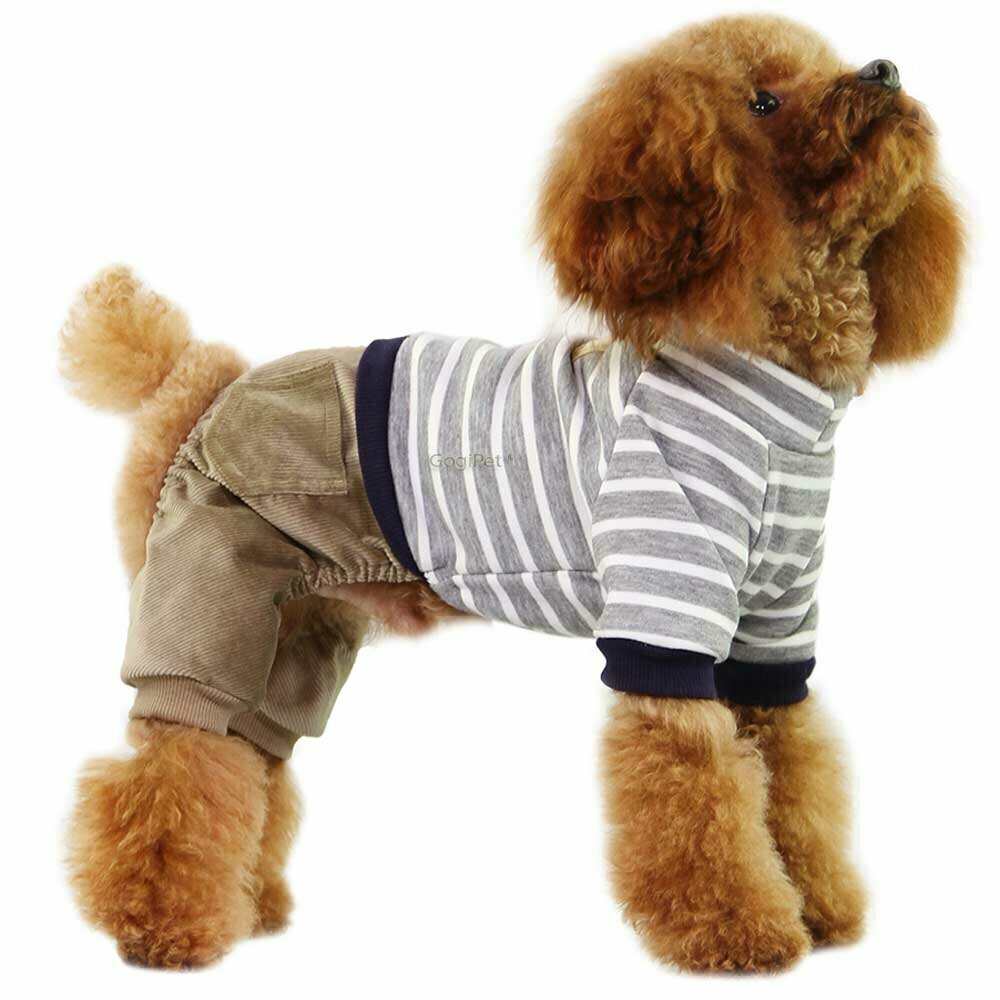 Conjunto moderno para perros de camiseta a rayas grises con pantalón de pana