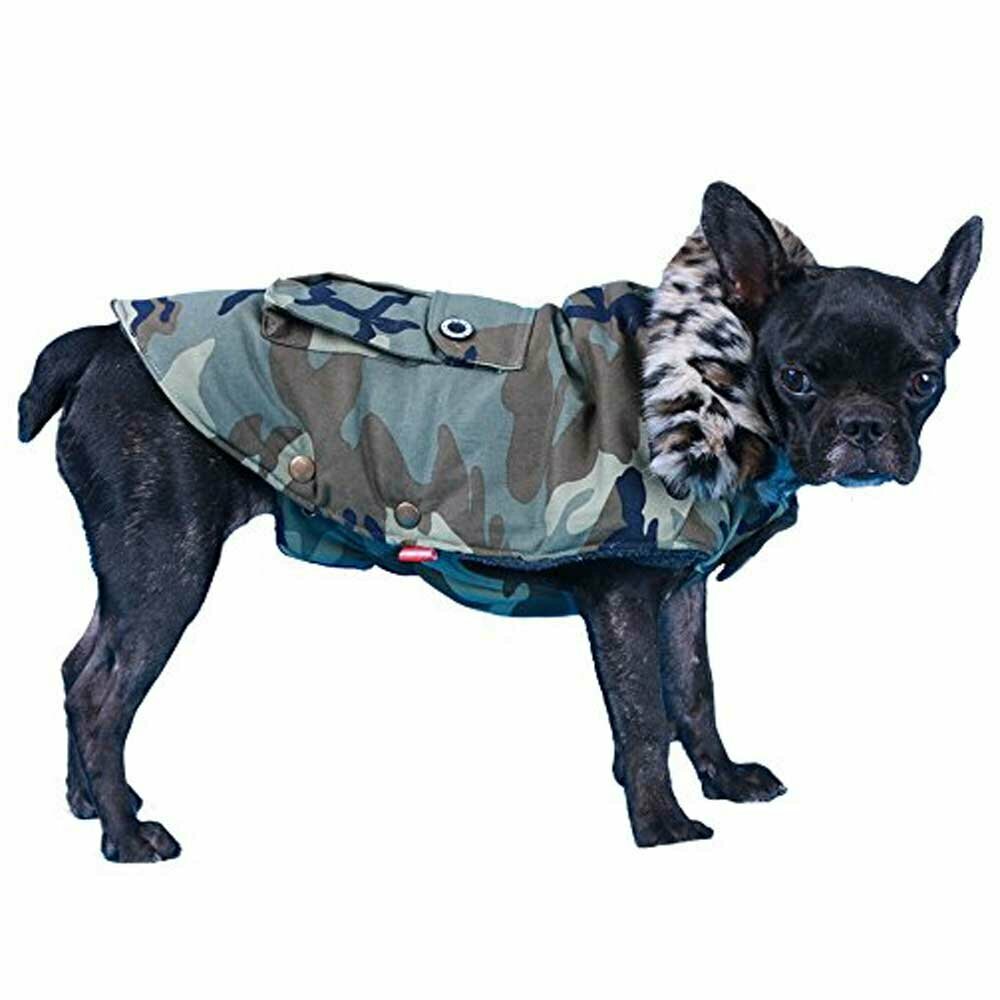Ropa de abrigo moderna para perros