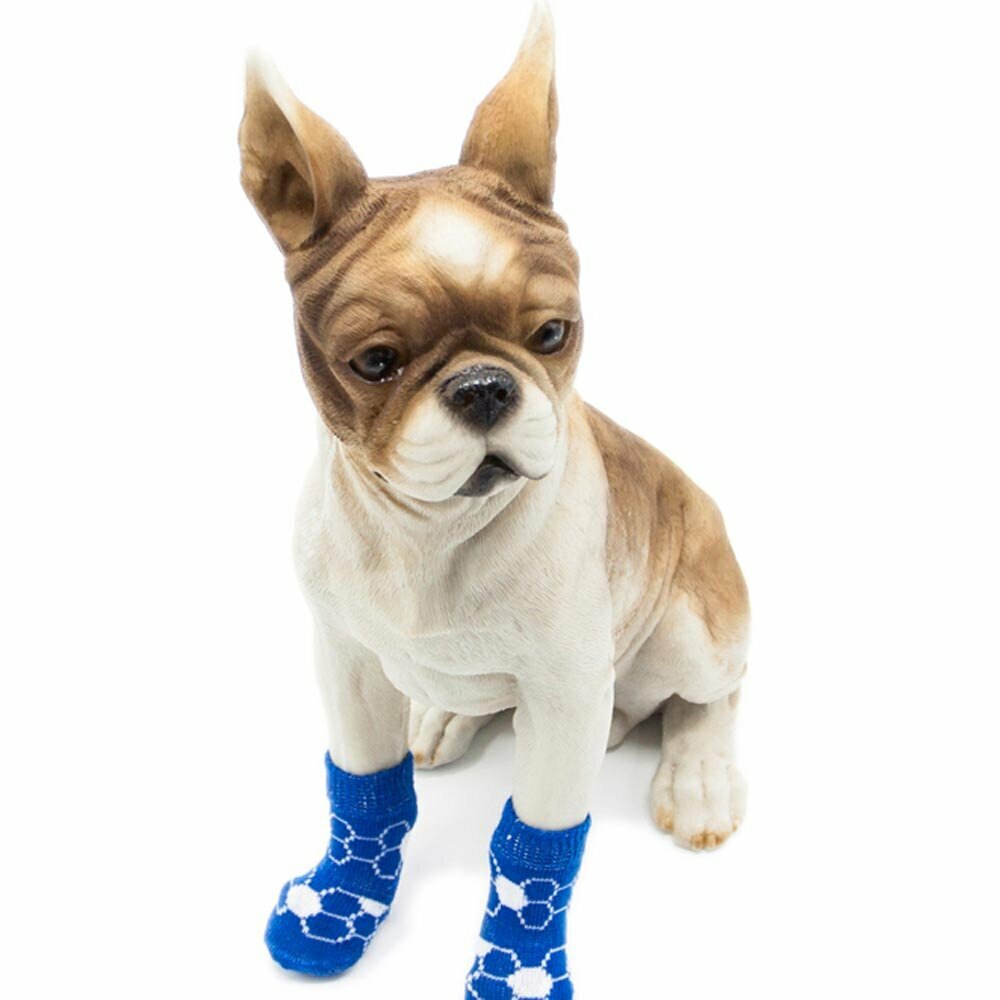 Calcetines antideslizantes para perros, azul, alta calidad