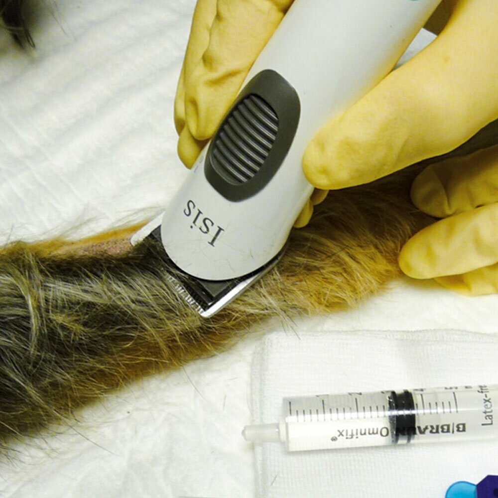 Cortapelos Aesculap Isis para veterinarios, peluqueros caninos y usuarios dométicos exigentes.
