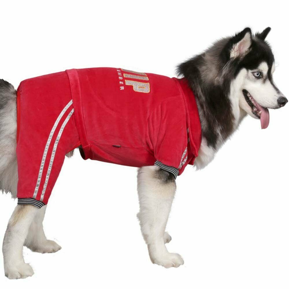 Bonito y cómodo chándal rojo para perros grandes de DoggyDolly