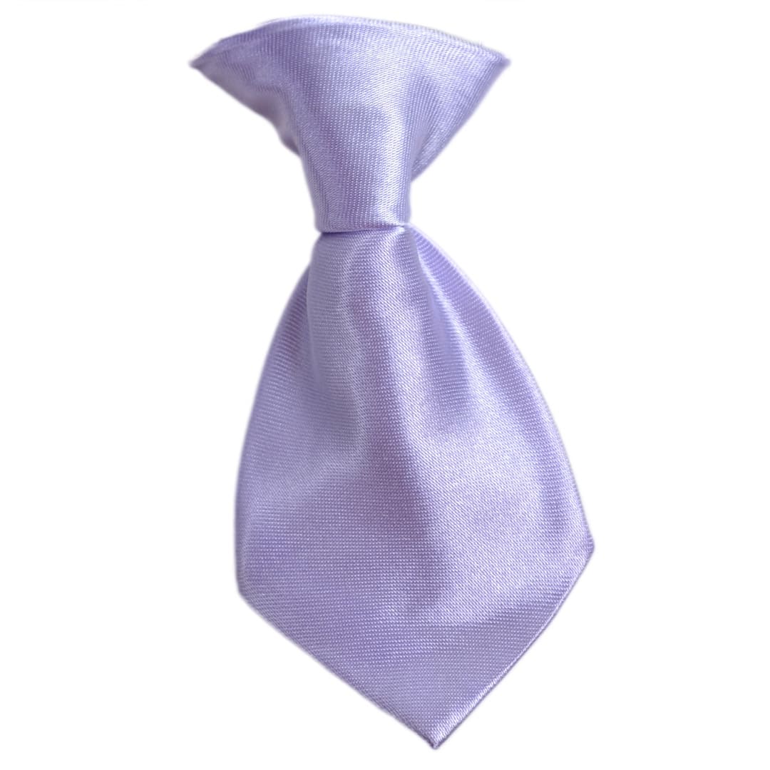 Corbata para perros en color morado de GogiPet®