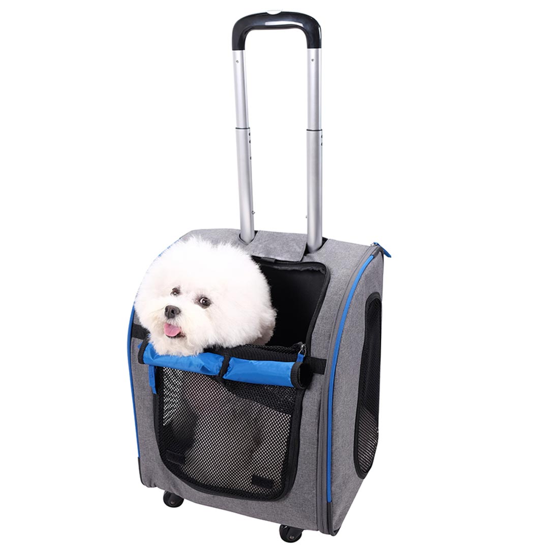 Cómodo trolley y mochila para perros para viajar