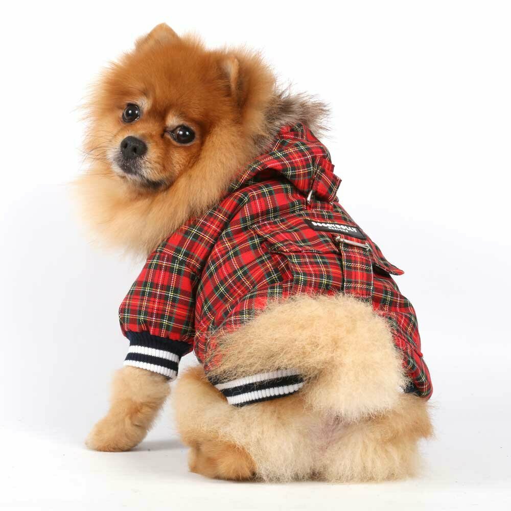 Chaqueta para perros con capucha a cuadros rojos - DoggyDolly moda para perros W128