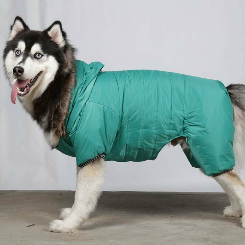 Cálido traje de nieve para perros grandes de DoggyDolly BD209