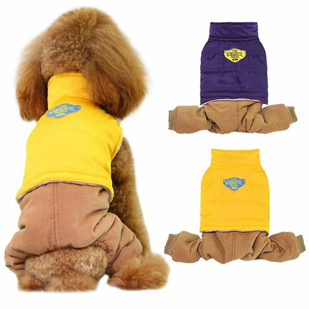 Conjunto cálido para perros de chaleco amarillo y pantalón marrón de GogiPet