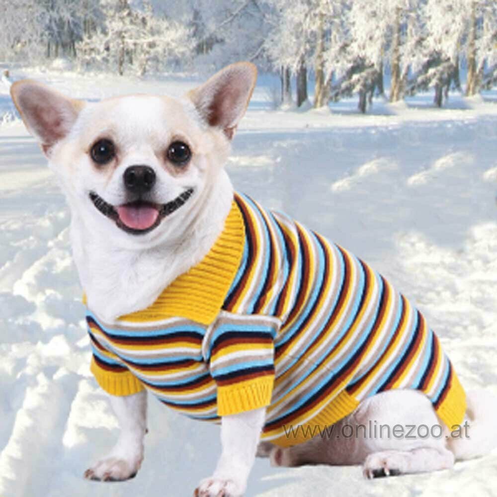 Suéter de invierno para perros de DoggyDolly W270