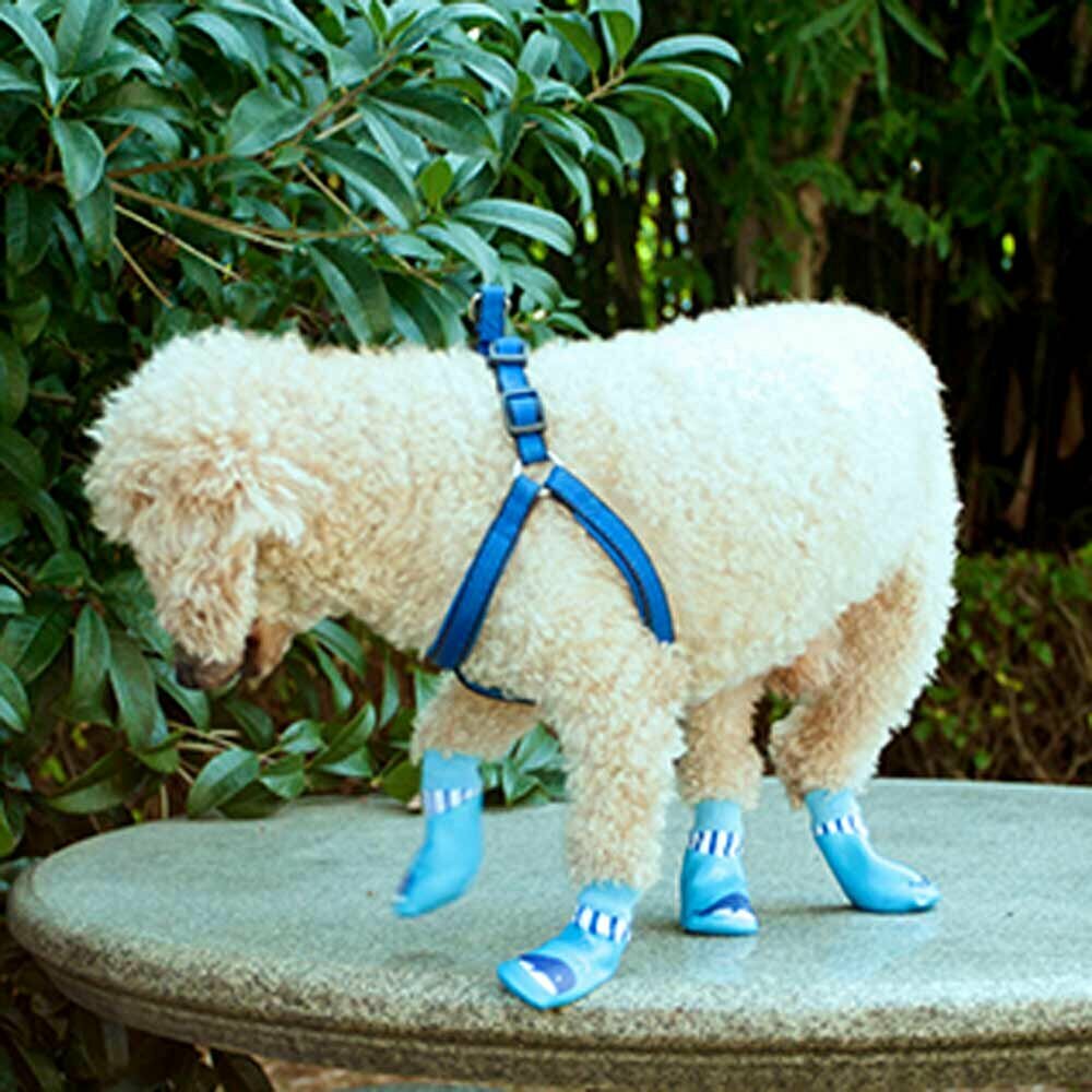 Botas para perros Ballena azul con suela de goma, muy cómodas