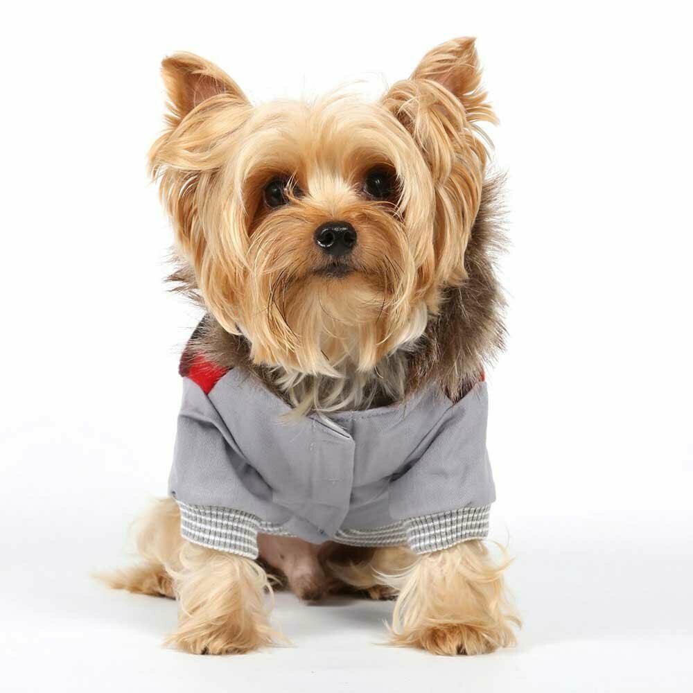 Deportiva Sudadera con capucha para perros en color gris