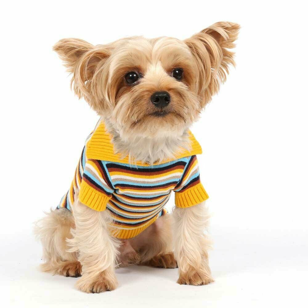 Moderno jersey de algodón para perros de DoggyDolly Dog Clothing