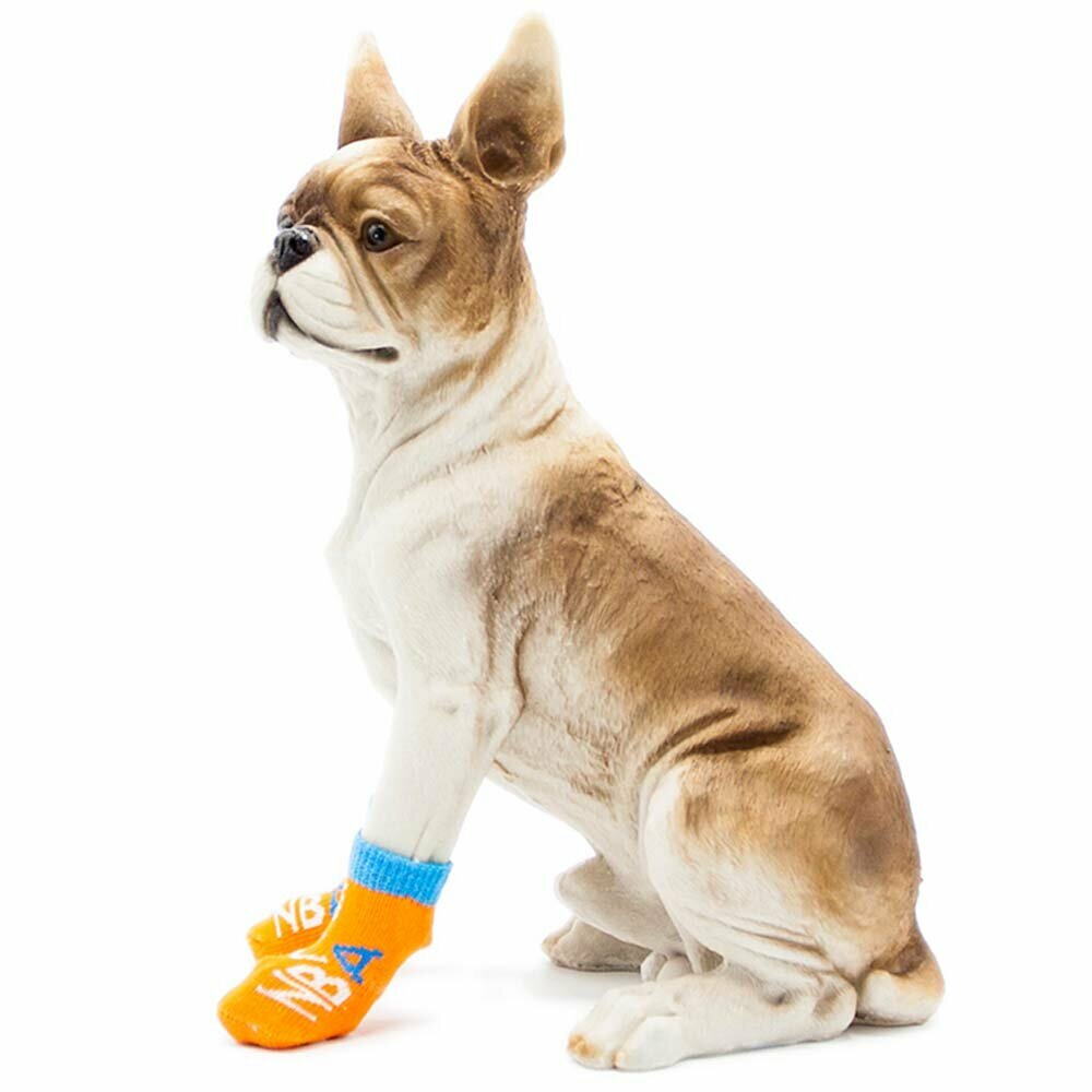 Calcetines antideslizantes para perros GogiPet, NBA naranja, alta calidad