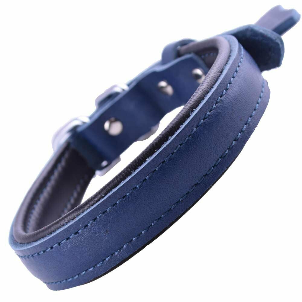 GogiPet® collar de perro de cuero suave azul con 45 cm