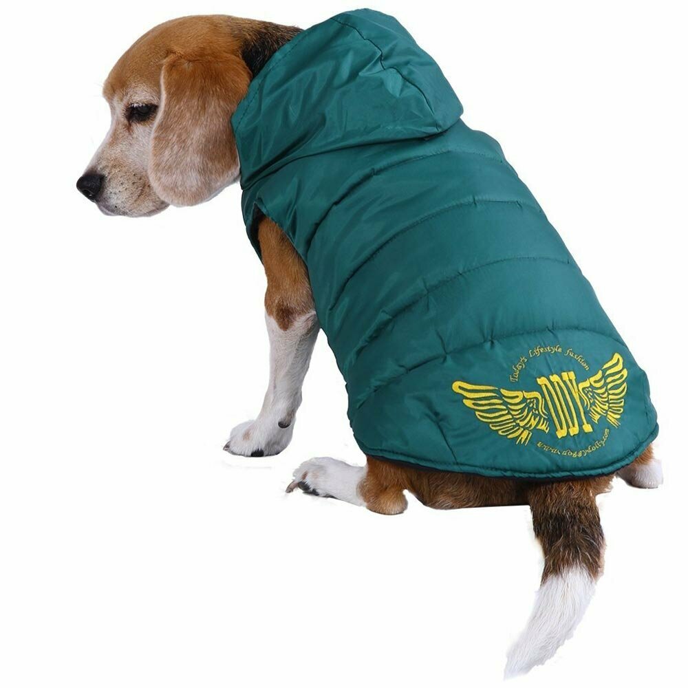 La ropa de abrigo para perros de DoggyDolly moda para perros