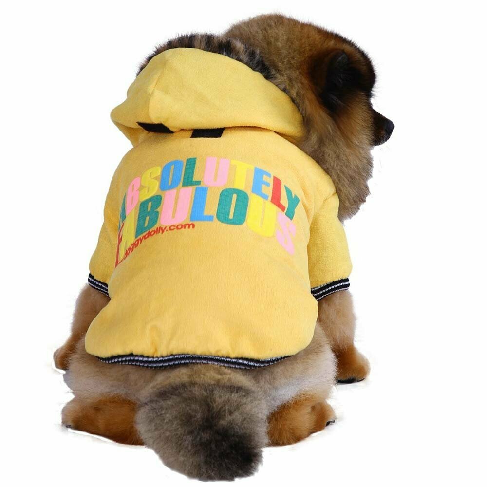 Abrigo para perros con capucha, amarillo - Ropa de abrigo para perros de DoggyDolly W162