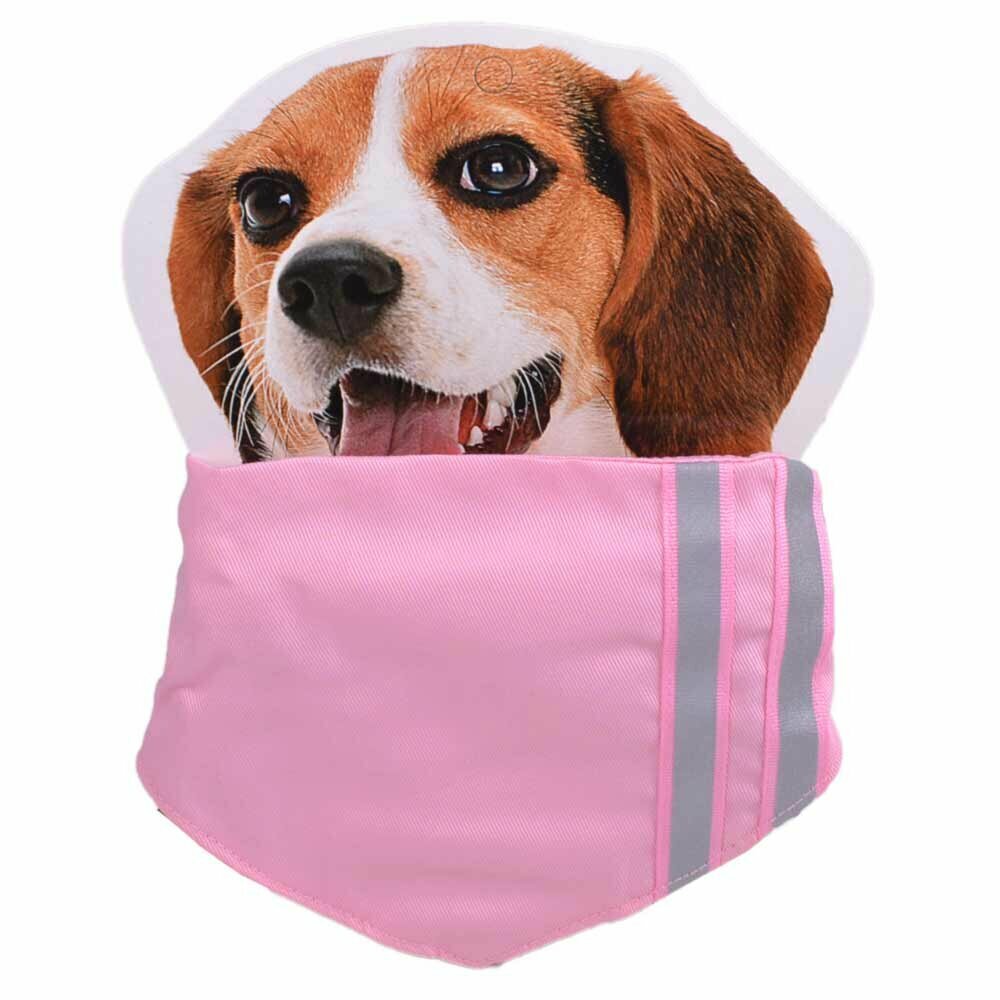 Pañuelo triangular para perros rosa con rayas reflectantes-Ajustable de 28 a 43 cm. Talla M.