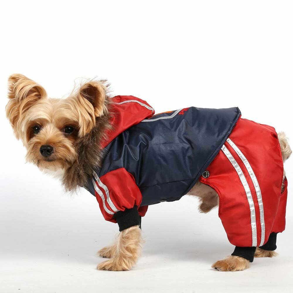 Traje de nieve para perros azul y rojo "Awesome" de DoggyDolly, con capucha  y pantalón desmontables