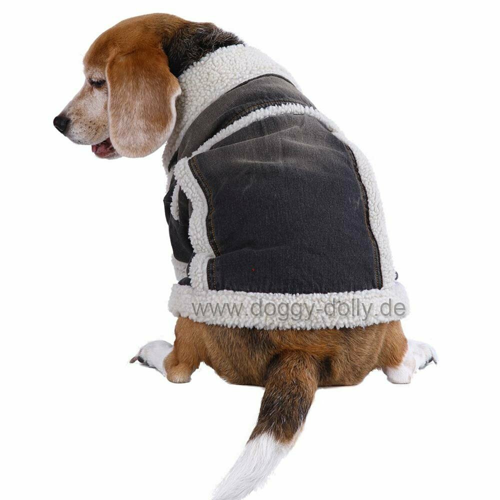 Bonita chaqueta para perros, calentita para el invierno de  DoggyDolly W119
