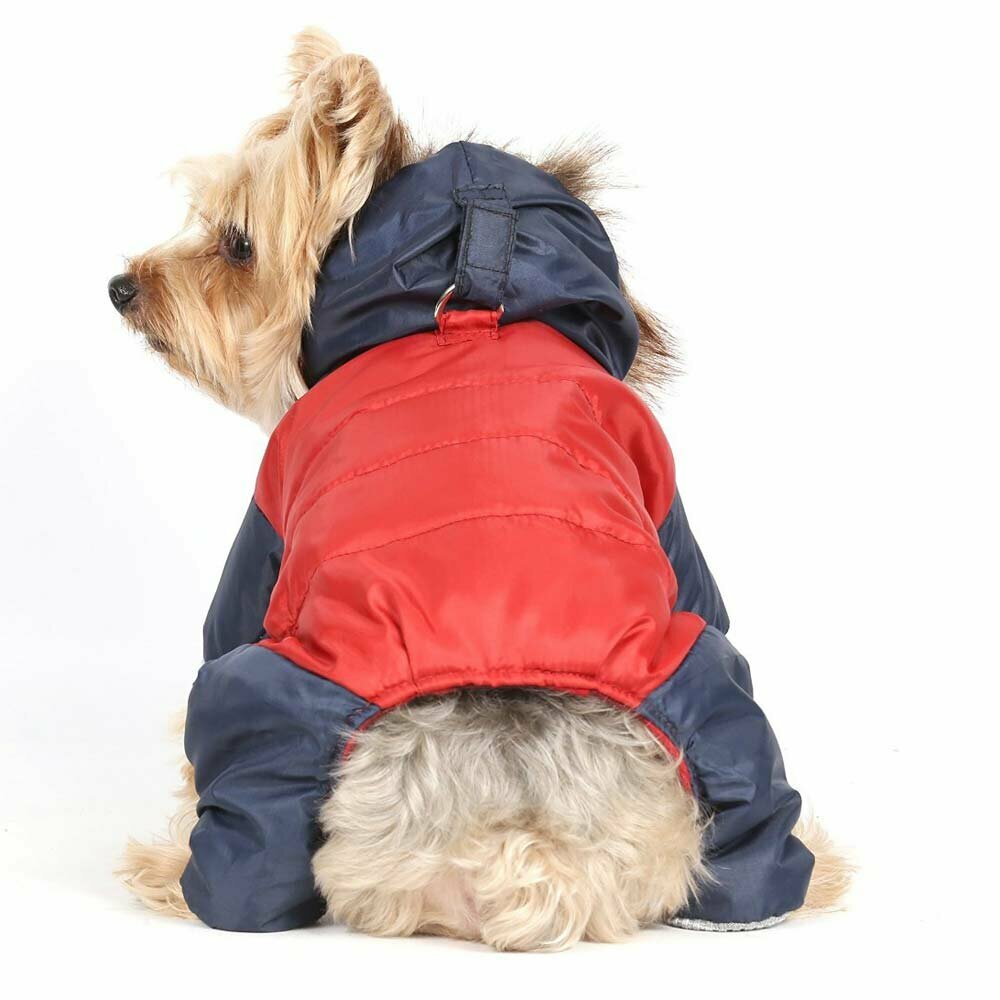 Cálido abrigo para perros de DoggyDolly W279