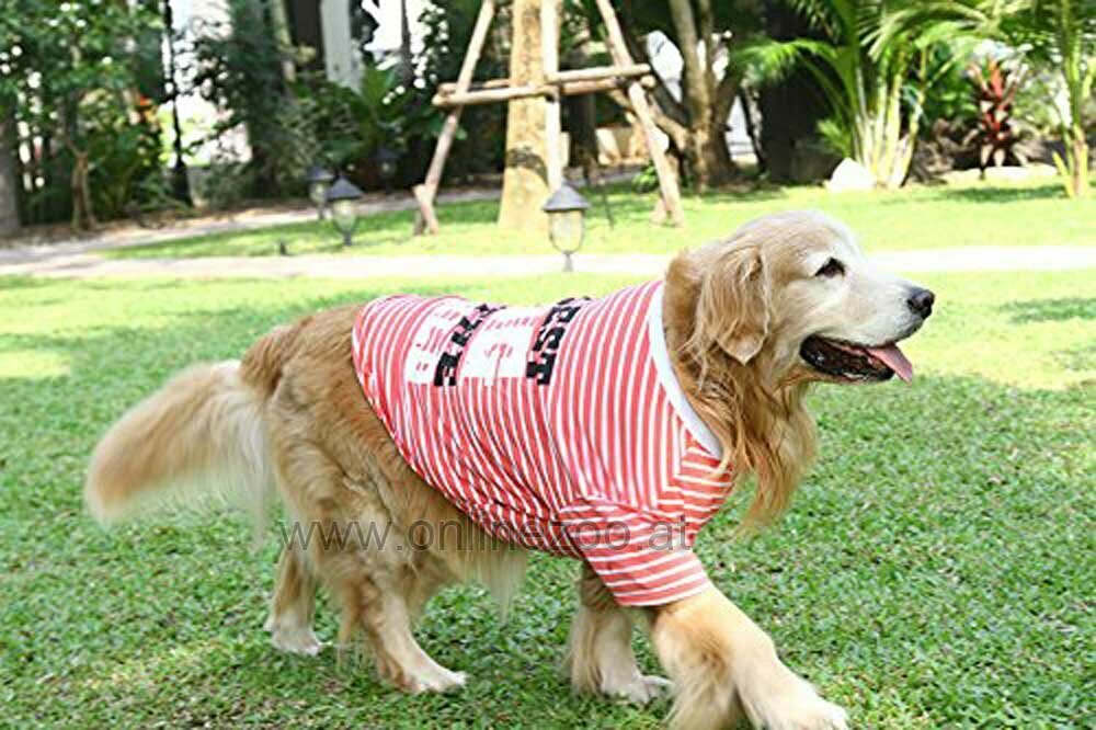 Camiseta para perros grandes en color naranja con rayas blancas "Coolest dog in the world"