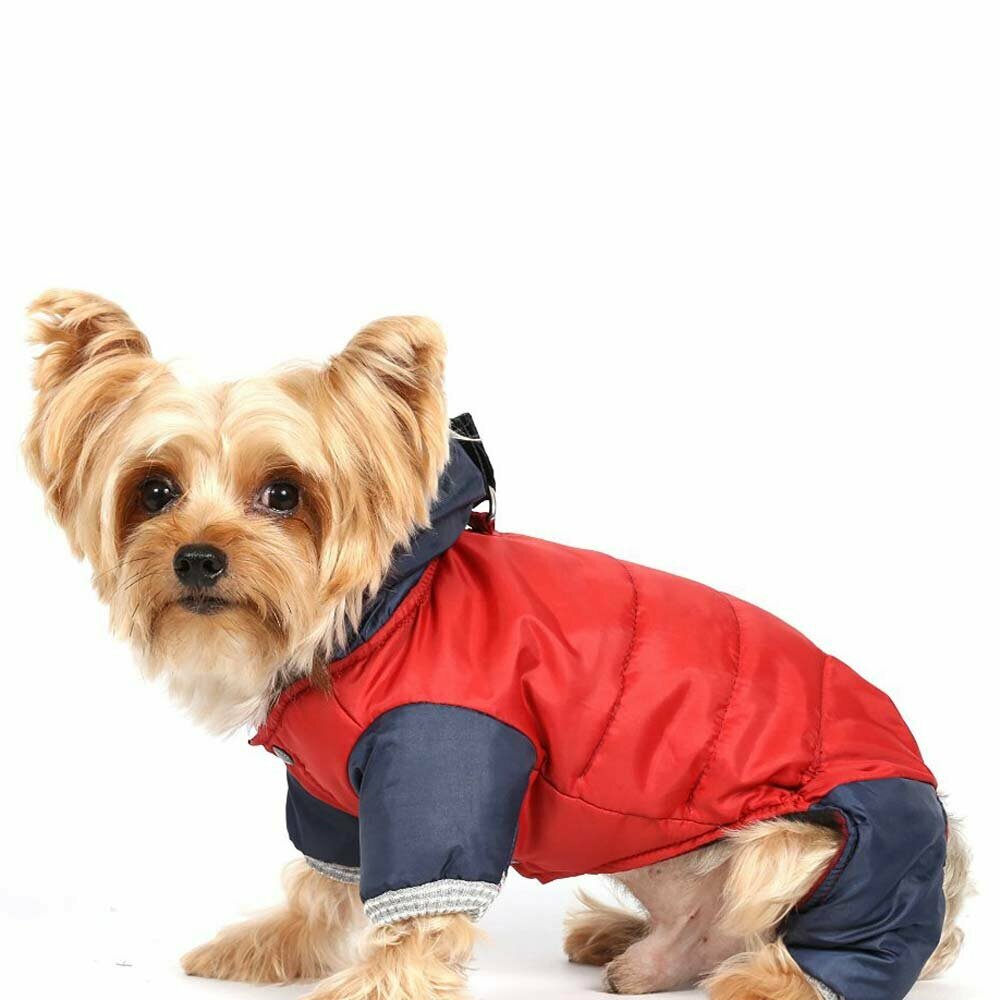 Traje de nieve para perros rojo y azul con capucha y 4 mangas