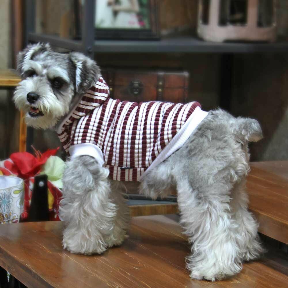 Suéter de punto para perros "Gala" con capucha, rojo-blanco