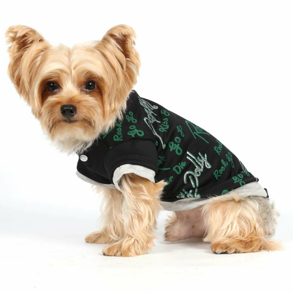Suéter con capucha bicolor para perritos que quieren ir a la moda