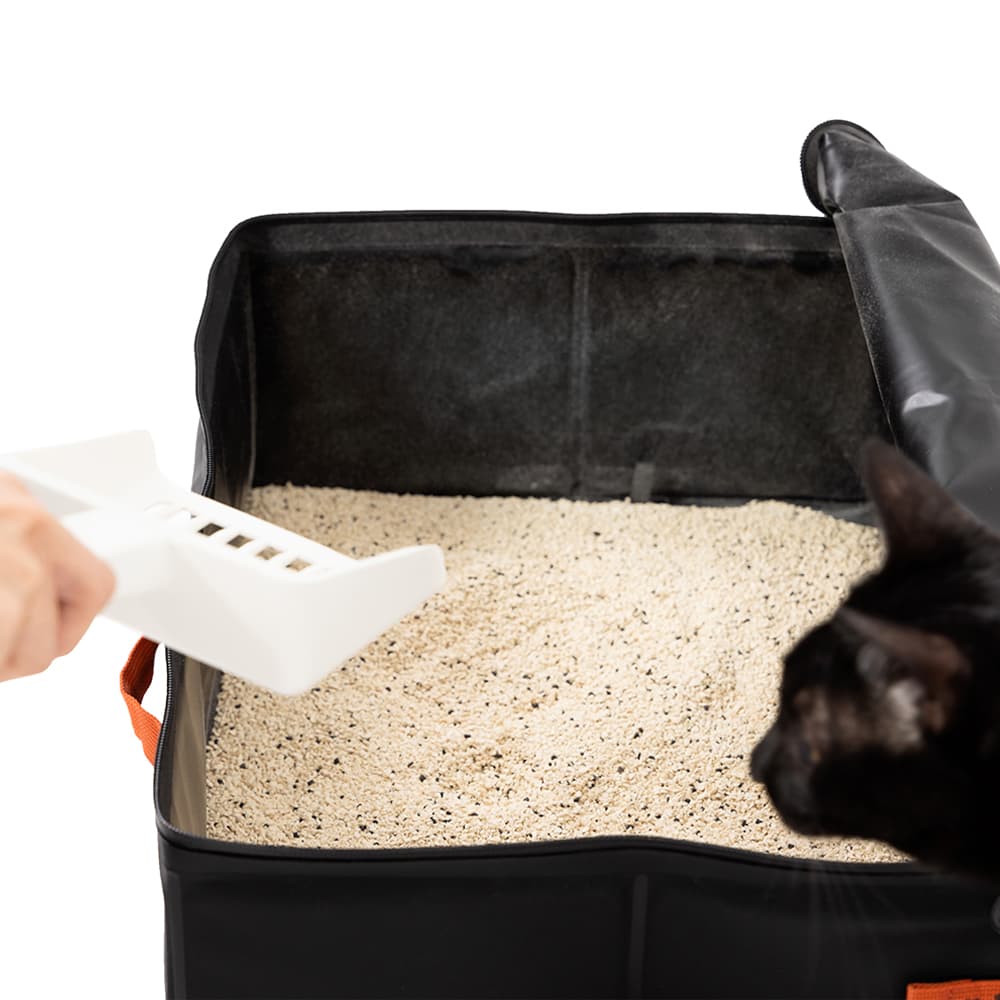Arenero móvil - inodoro portátil para gatos