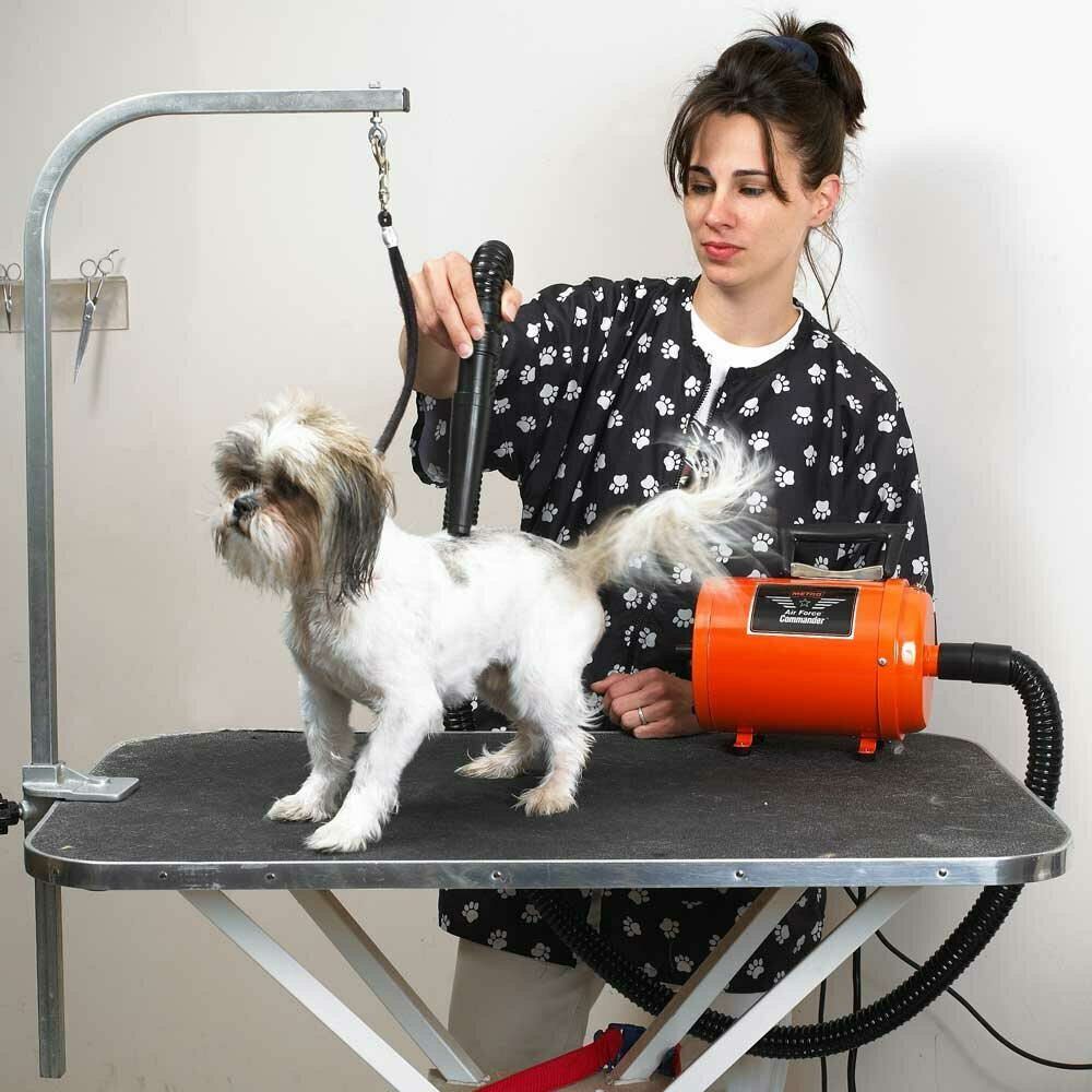 El secador profesional para perros de Metro