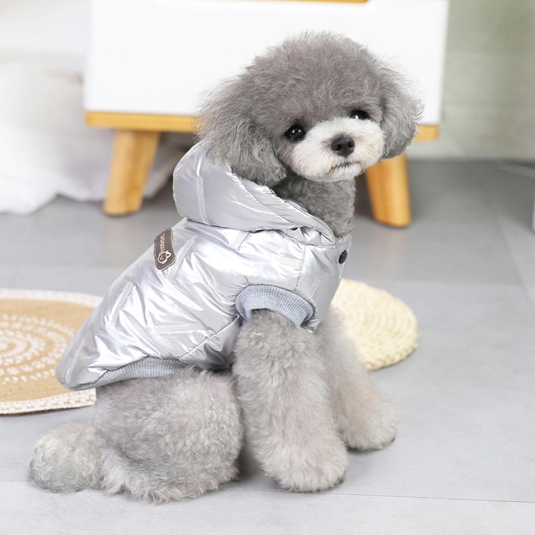 Bonito anorak para perros con capucha "Moonwalk" en color plateado
