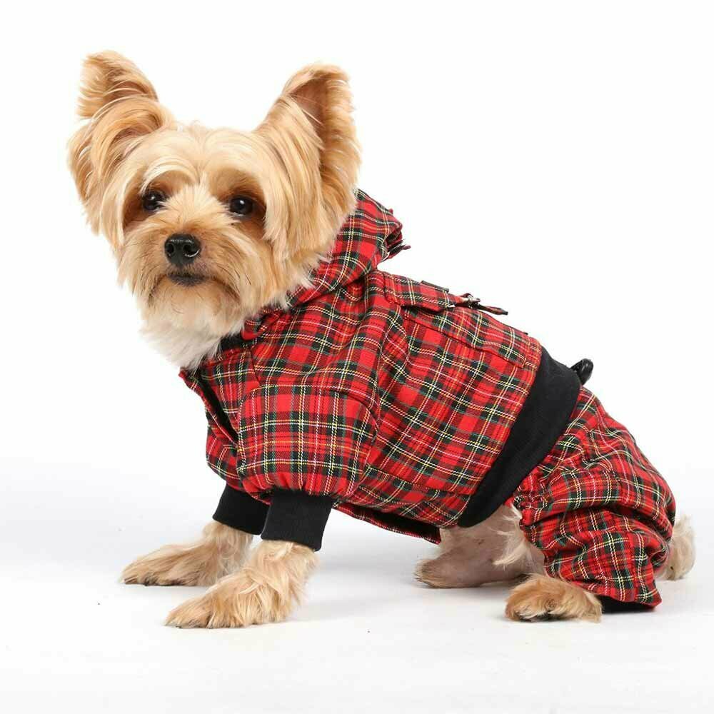 Bonita ropa de abrigo para perros DoggyDolly
