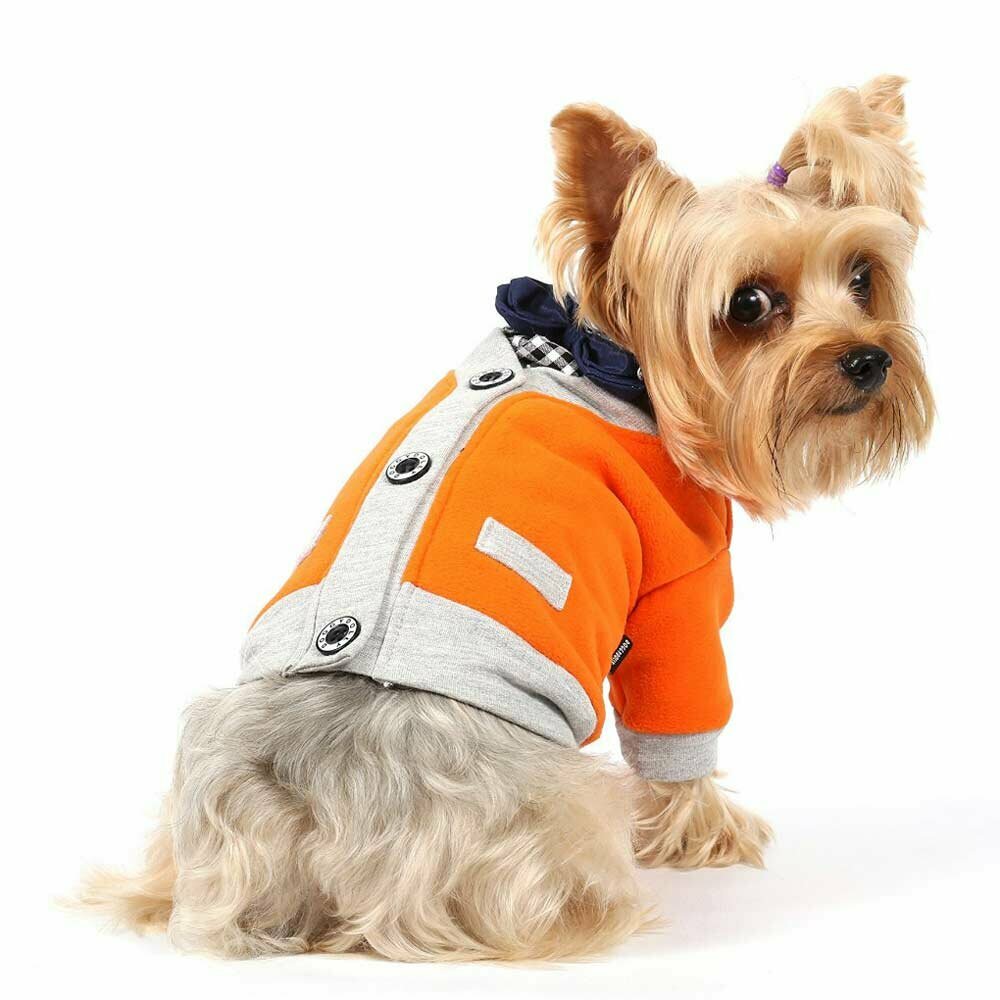 Cálido Suéter para perros con rebeca y camisa con pajarita, naranja y gris