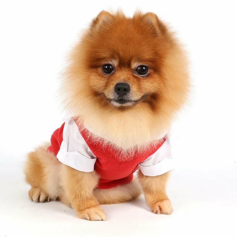 Suéter para perros pequeños de forro polar DoggyDolly, rojo