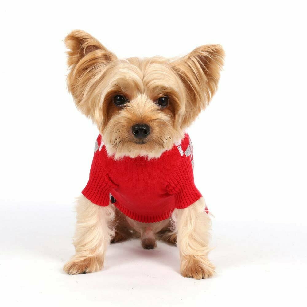 Suéter para perros con rombos rojos y grises