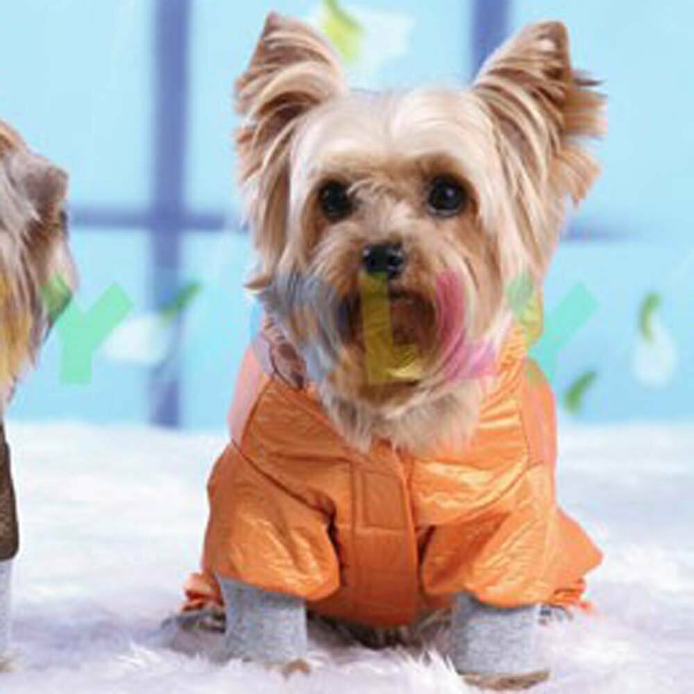 Chubasquero para perros de DoggyDolly naranja, forrado con 4 mangas