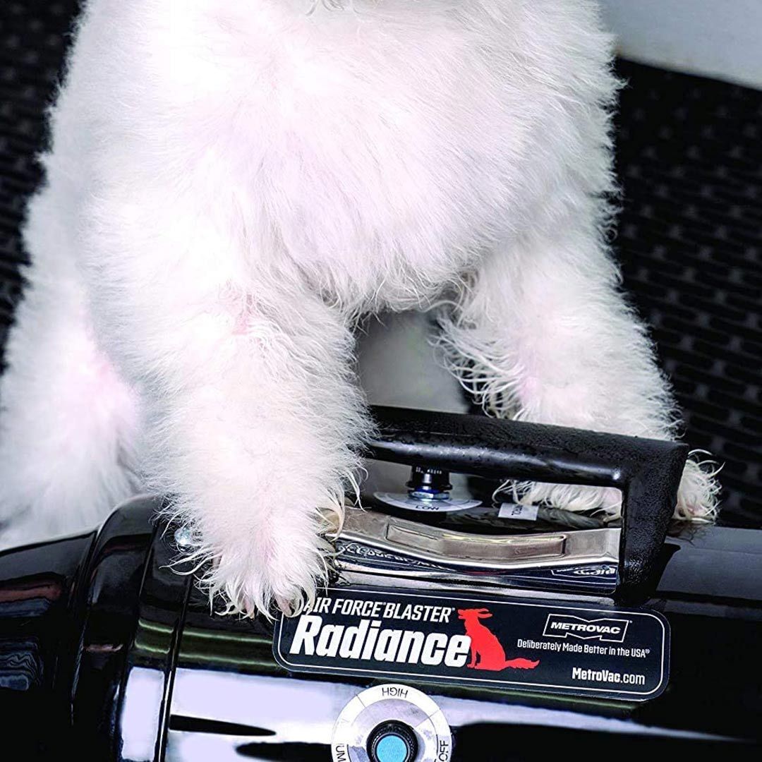Secador profesional para perros de Metrovac con calefacción y flujo de aire ajustables