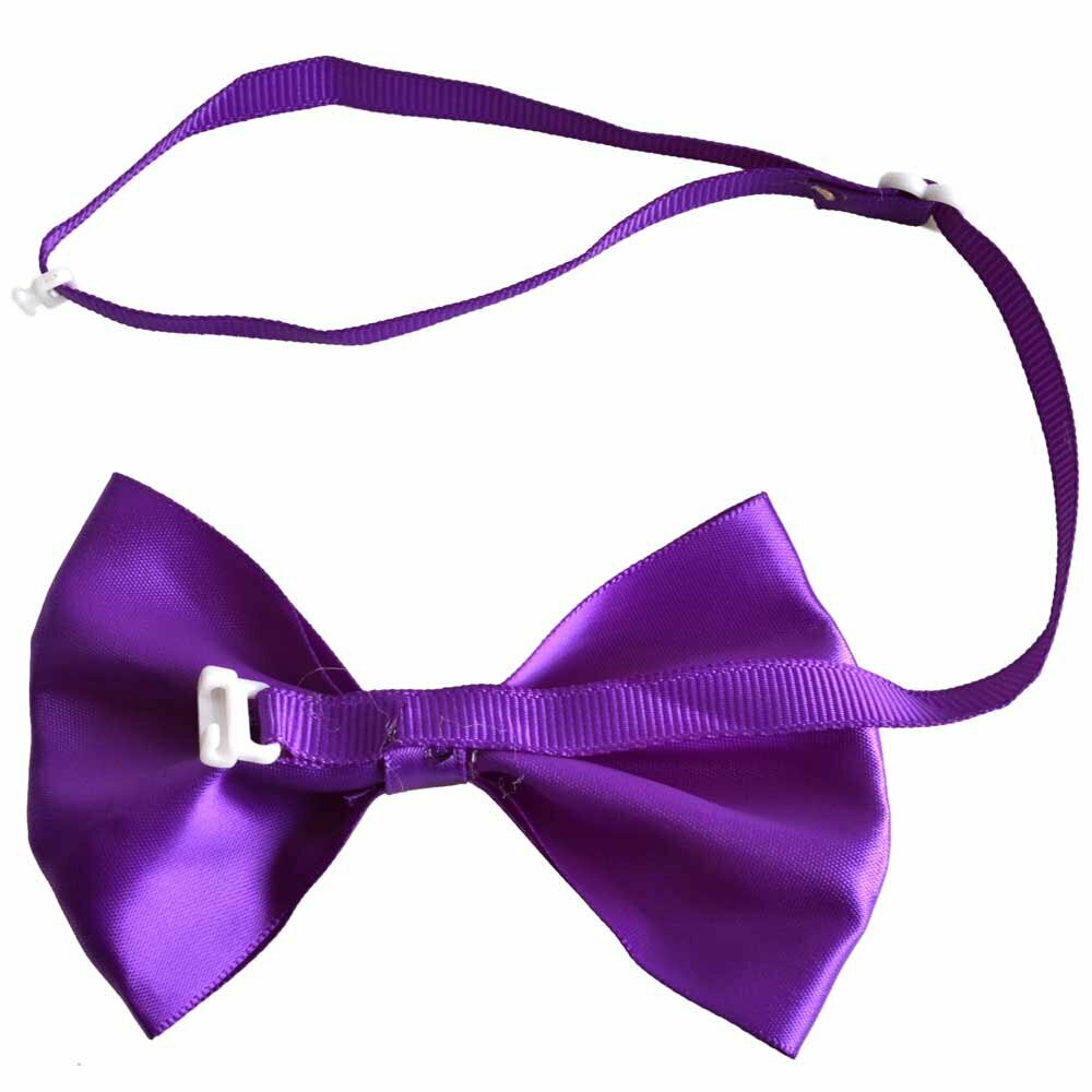 Pajarita para perros color púrpura con cierre rápido y longitud ajustable